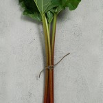 Fondbild Rabarber - Bild 3