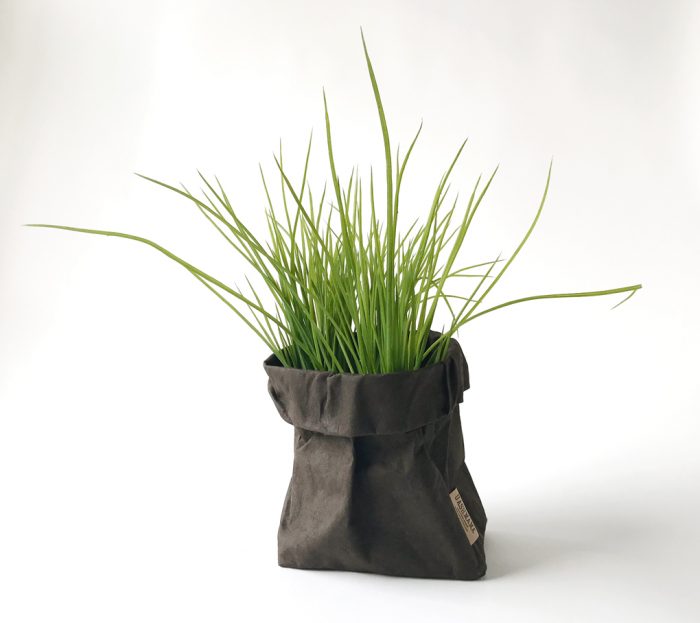 Gräs Carexbuske 55 cm