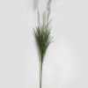 Grass Onion 99 cm - Bild 2