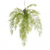 Plumosa 90 cm