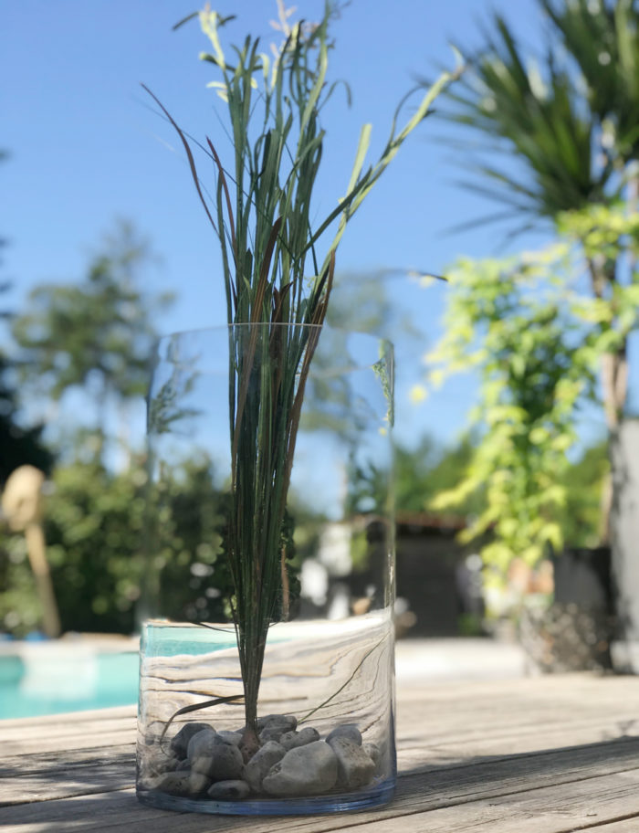 Gräs med rötter - Bild 2