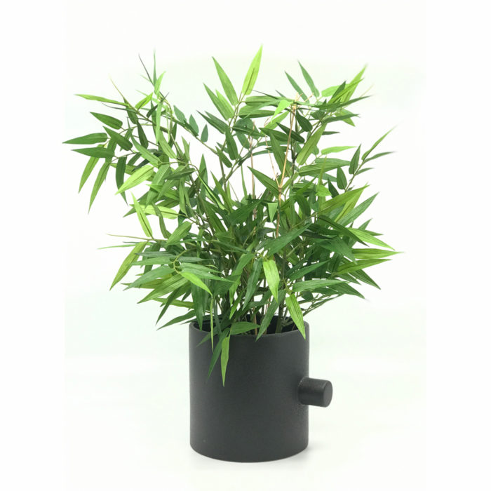 Bamboo