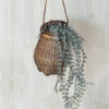 Mini Leaf - Bild 3