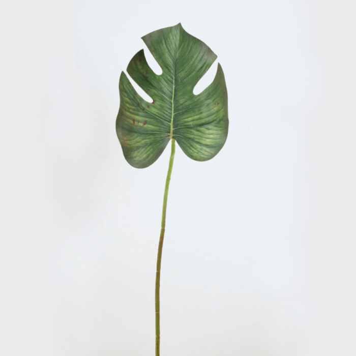 Monstera Blad 60 cm