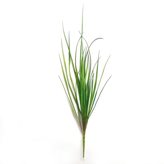 Gräs Carex Bush 90 cm