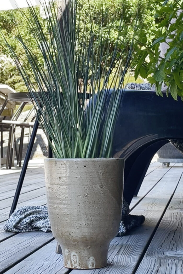 Gräs i kruka 60 cm - Bild 2