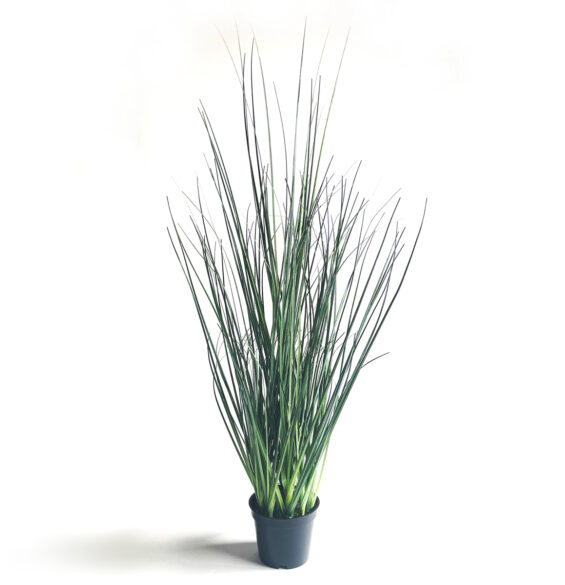 Gräs i kruka 60 cm