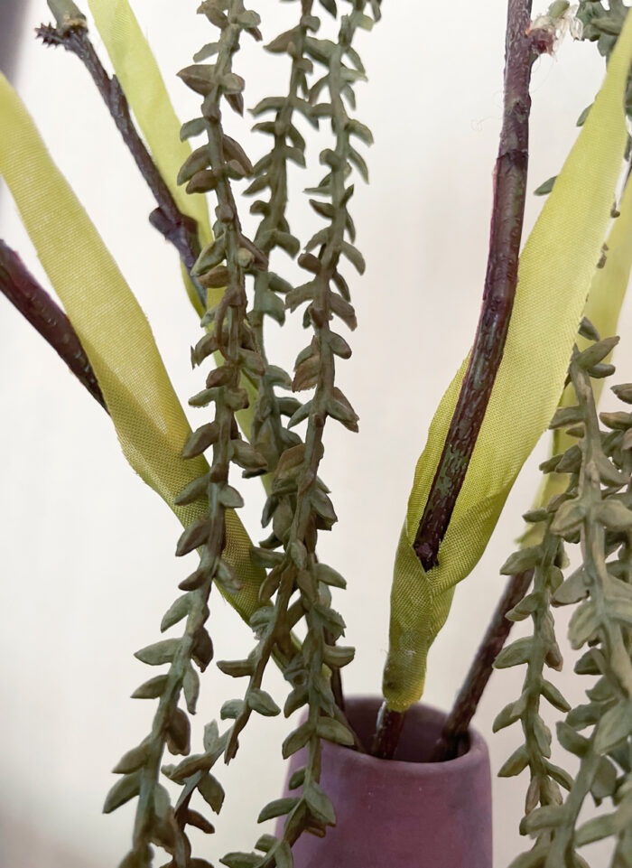 Kvist Succulent - Bild 5