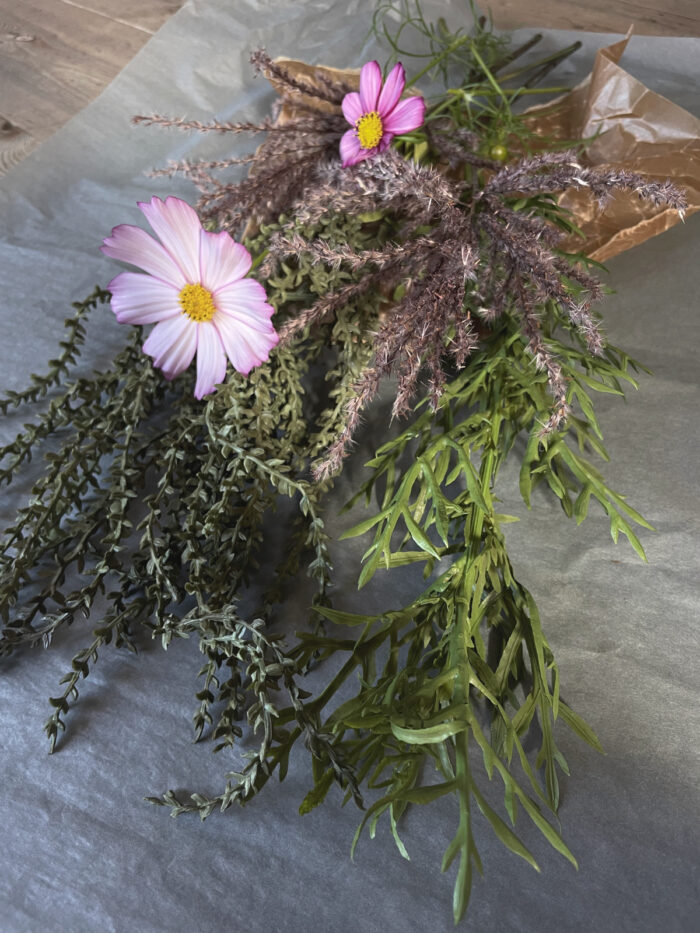 Kvist Succulent - Bild 2