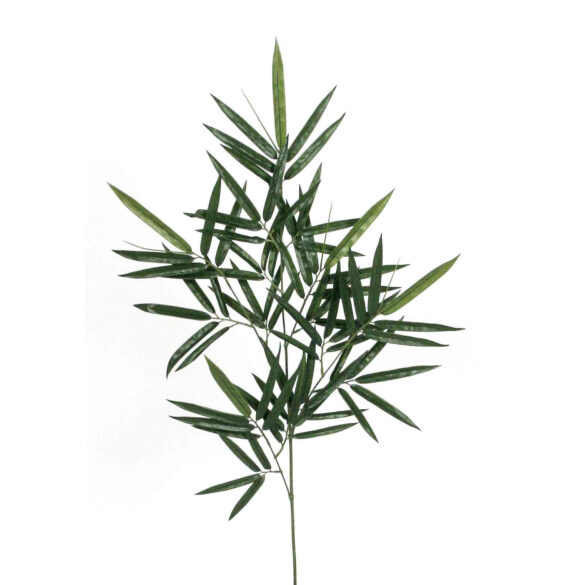 Bamboo kvist