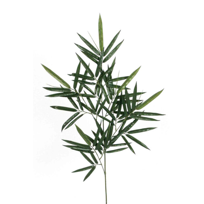 Bamboo kvist