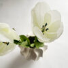 Snittblomma Tulpan WhiteGreen - Bild 2