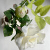 Snittblomma Rose Cream - Bild 3